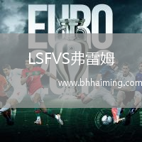 LSFVS弗雷姆