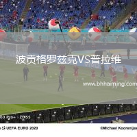 波貢格羅茲克VS普拉維