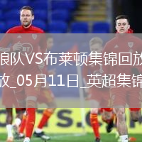 英超-維爾貝克破門(mén)布萊頓客場(chǎng)2-0勝狼隊(duì)