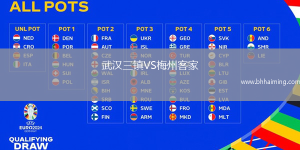 武漢三鎮VS梅州客家