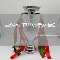 赫塔維斯巴赫VS貢森海姆