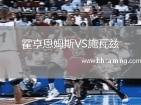 霍亨恩姆斯VS施瓦茲