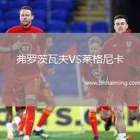 弗羅茨瓦夫VS萊格尼卡