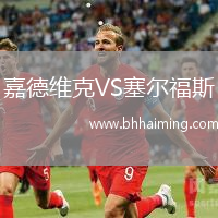 嘉德維克VS塞爾福斯