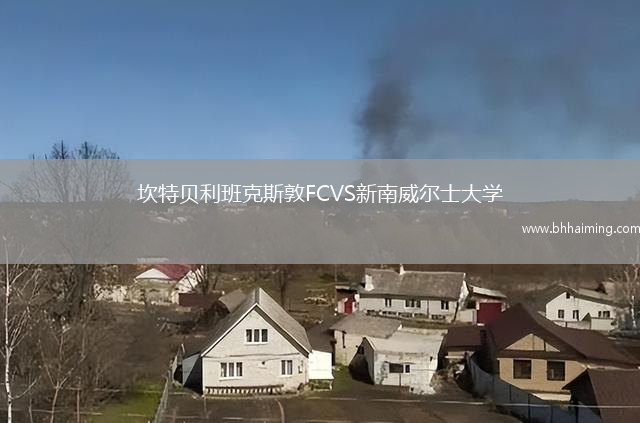 坎特貝利班克斯敦FCVS新南威爾士大學(xué)