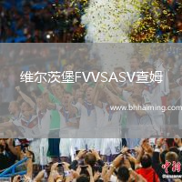 維爾茨堡FVVSASV查姆