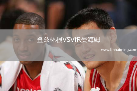登茲林根VSVfR曼海姆