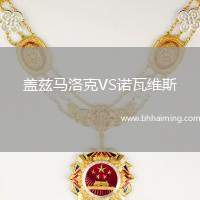 蓋茲馬洛克VS諾瓦維斯