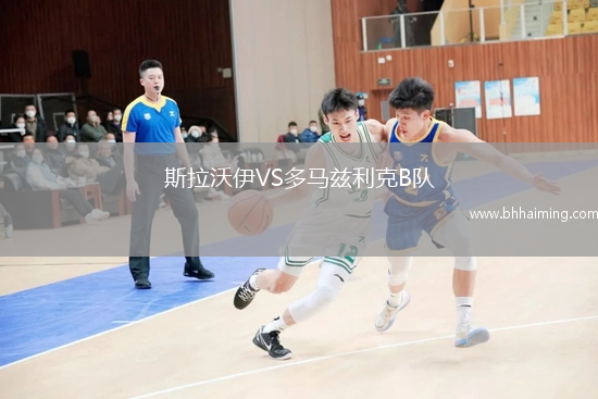 斯拉沃伊VS多馬茲利克B隊(duì)