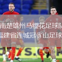 云南楚雄州馬纓花足球隊(duì)VS福建省連城冠豸山足球隊(duì)