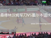 桑德林漢姆軍刀VS墨爾本猛虎