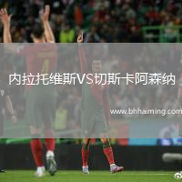 內拉托維斯VS切斯卡阿森納