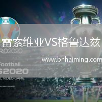雷索維亞VS格魯達茲