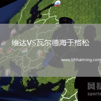 維達VS瓦爾德海于格松