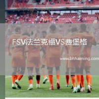 FSV法蘭克福VS費堡格
