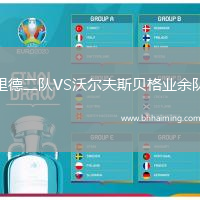 里德二隊(duì)VS沃爾夫斯貝格業(yè)余隊(duì)