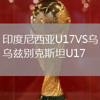 印度尼西亞U17VS烏茲別克斯坦U17