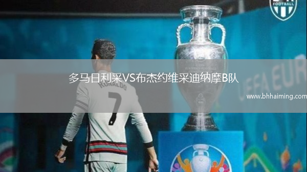 多馬日利采VS布杰約維采迪納摩B隊