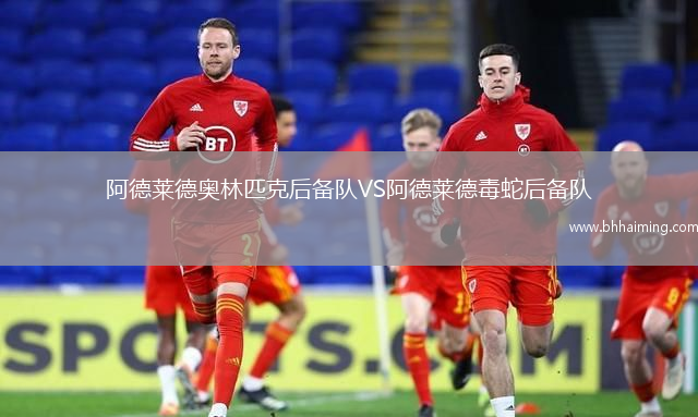 阿德萊德奧林匹克后備隊VS阿德萊德毒蛇后備隊