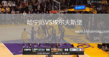 哈寧厄VS埃爾夫斯堡