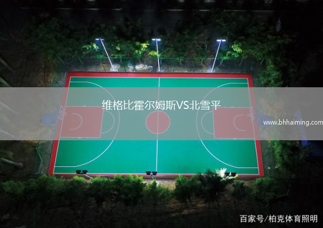 維格比霍爾姆斯VS北雪平