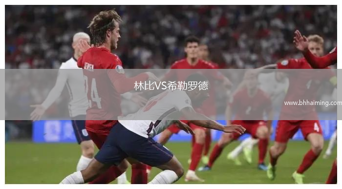 林比VS希勒羅德
