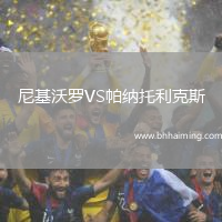 尼基沃羅VS帕納托利克斯
