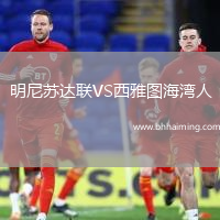 明尼蘇達聯VS西雅圖海灣人