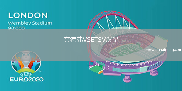 奈德弗VSETSV漢堡