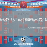 卡拉路夫VS布拉格斯拉維亞C隊