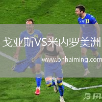 戈亞斯VS米內(nèi)羅美洲