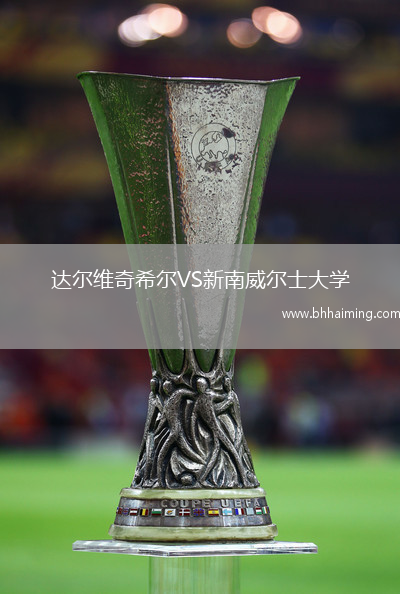 達(dá)爾維奇希爾VS新南威爾士大學(xué)