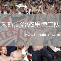 禾斯貝治VS里德二隊(duì)