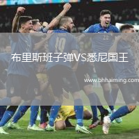 布里斯班子彈VS悉尼國王