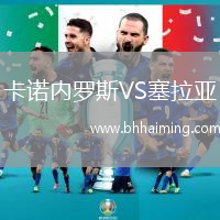 卡諾內羅斯VS塞拉亞