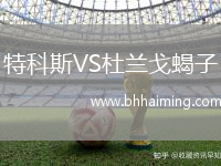 特科斯VS杜蘭戈蝎子