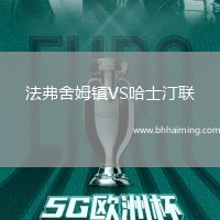 法弗舍姆鎮VS哈士汀聯