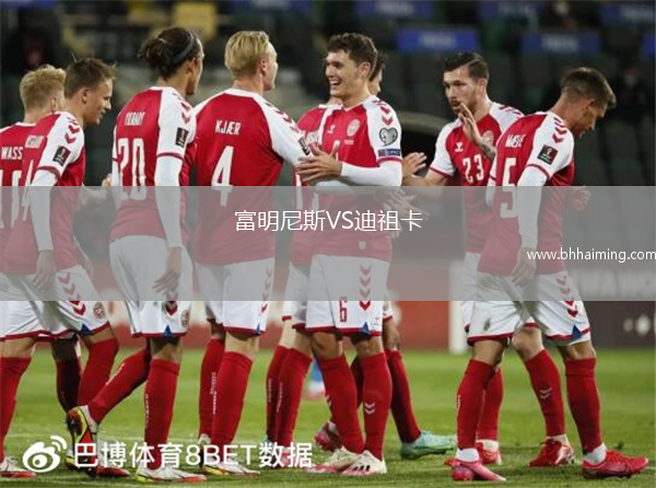 富明尼斯VS迪祖卡