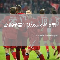 烏斯季青年隊VSSK斯拉尼