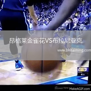 昂格萊金雀花VS布拉尼亞克