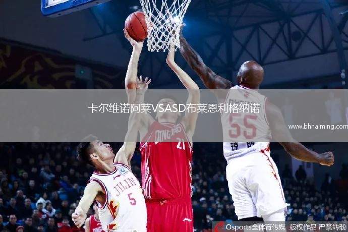 卡爾維諾阿萊VSASD布萊恩利格納諾