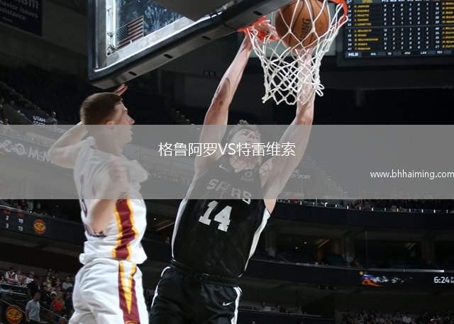 格魯阿羅VS特雷維索