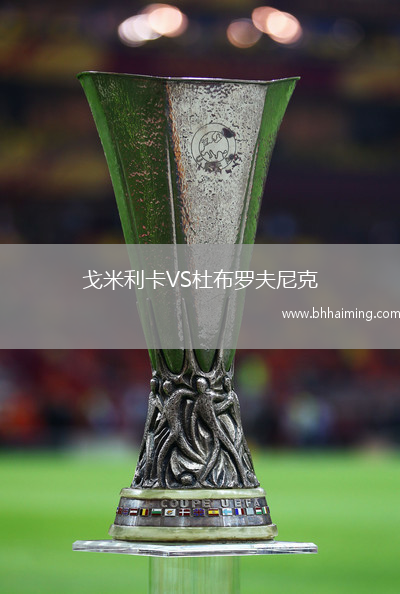 戈米利卡VS杜布羅夫尼克