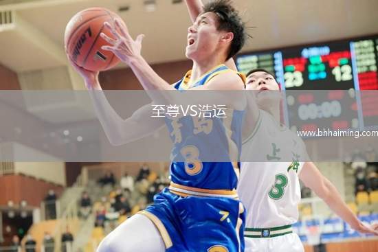 至尊VS浩運