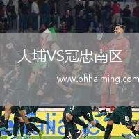 大埔VS冠忠南區
