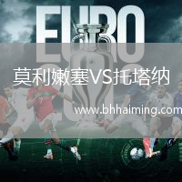 莫利嫩塞VS托塔納