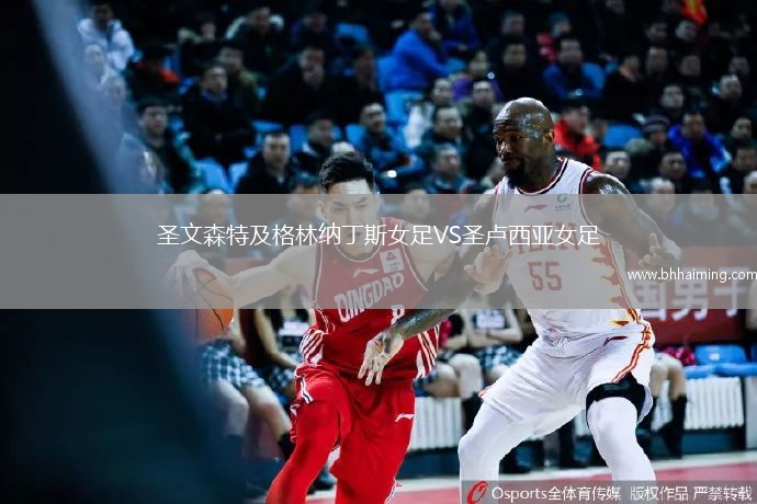 圣文森特及格林納丁斯女足VS圣盧西亞女足